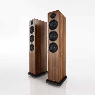 Напольная акустика Acoustic Energy AE120 Walnut wood venner